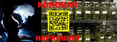 Альфа ПВП Можга
