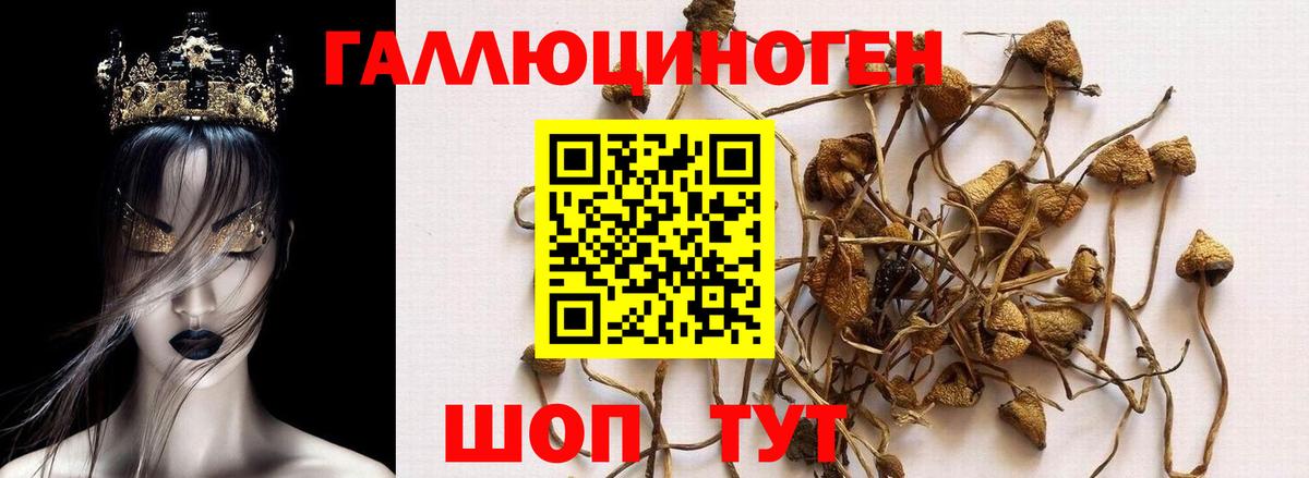 Галлюциногенные грибы прущие грибы  Вход с VPN  Улан-Удэ 